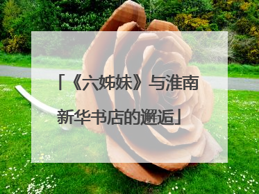 《六姊妹》与淮南新华书店的邂逅