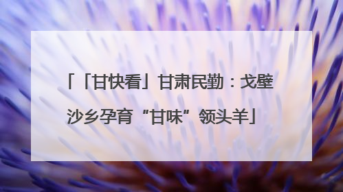 「甘快看」甘肃民勤：戈壁沙乡孕育“甘味”领头羊