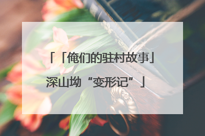 「俺们的驻村故事」深山坳“变形记”