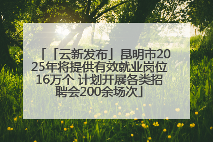 「云新发布」昆明市2025年将提供有效就业岗位16万个 计划开展各类招聘会200余场次