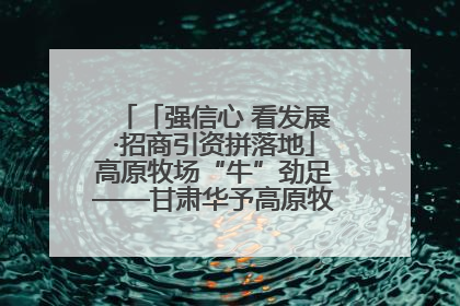 「强信心 看发展·招商引资拼落地」高原牧场“牛”劲足——甘肃华予高原牧场高标准奶牛肉牛养殖项目一线见闻