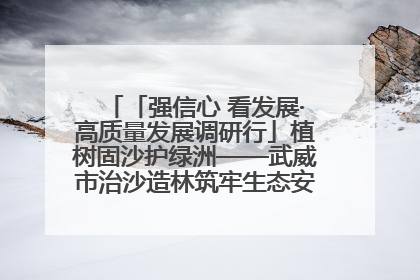 「强信心 看发展·高质量发展调研行」植树固沙护绿洲——武威市治沙造林筑牢生态安全屏障见闻