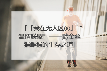 「我在无人区⑧」“温情联盟”——黔金丝猴雌猴的生存之道