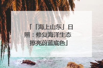 「海上山东」日照：修复海洋生态 擦亮蔚蓝底色