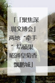 「聚焦深圳文博会」两地“牵手”结硕果 昭通皇菊香飘鹏城
