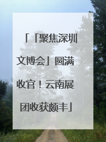 「聚焦深圳文博会」圆满收官！云南展团收获颇丰