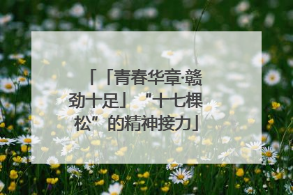 「青春华章·赣劲十足」“十七棵松”的精神接力