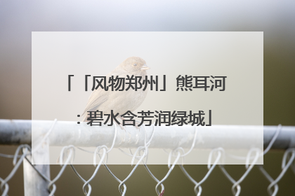 「风物郑州」熊耳河：碧水含芳润绿城