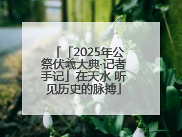 「2025年公祭伏羲大典·记者手记」在天水 听见历史的脉搏