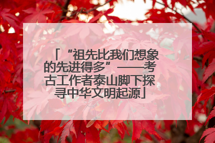 “祖先比我们想象的先进得多”——考古工作者泰山脚下探寻中华文明起源