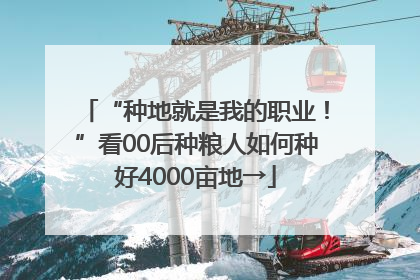 “种地就是我的职业！”看00后种粮人如何种好4000亩地→