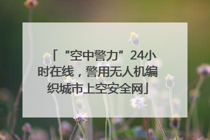 “空中警力”24小时在线，警用无人机编织城市上空安全网