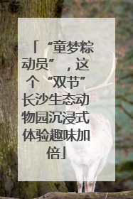 “童梦粽动员”，这个“双节”长沙生态动物园沉浸式体验趣味加倍