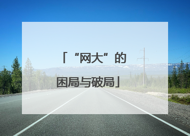 “网大”的困局与破局