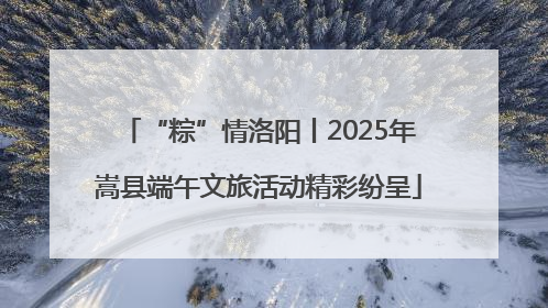 “粽”情洛阳丨2025年嵩县端午文旅活动精彩纷呈