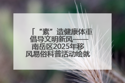 “素”造健康体重 倡导文明新风——南岳区2025年移风易俗科普活动绘就健康生活新图景
