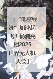 “低空经济”加速起飞！杨浦亮相2025世界无人机大会