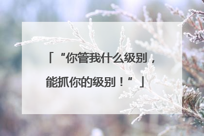 “你管我什么级别，能抓你的级别！”