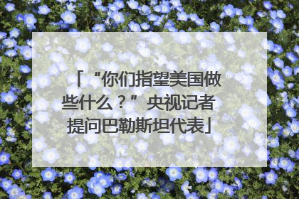 “你们指望美国做些什么？”央视记者提问巴勒斯坦代表