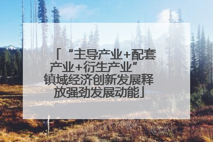 “主导产业+配套产业+衍生产业” 镇域经济创新发展释放强劲发展动能