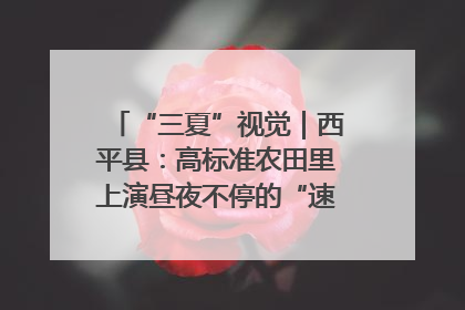 “三夏”视觉｜西平县：高标准农田里上演昼夜不停的“速度与激情”