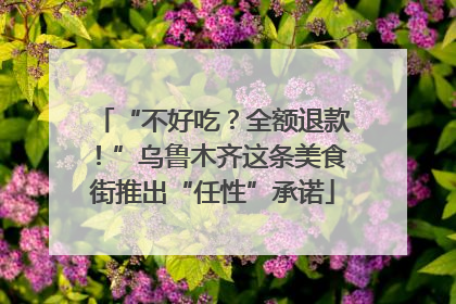 “不好吃？全额退款！”乌鲁木齐这条美食街推出“任性”承诺