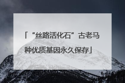 “丝路活化石”古老马种优质基因永久保存