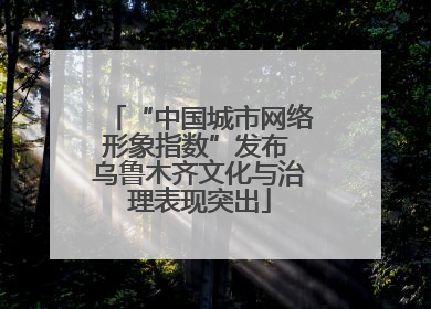 “中国城市网络形象指数”发布 乌鲁木齐文化与治理表现突出