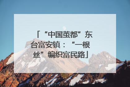 “中国茧都”东台富安镇：“一根丝”编织富民路
