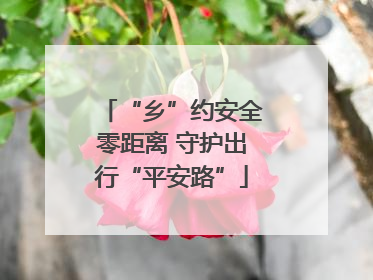 “乡”约安全零距离 守护出行“平安路”