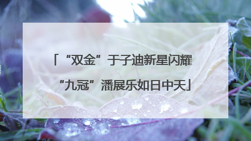 “双金”于子迪新星闪耀 “九冠”潘展乐如日中天