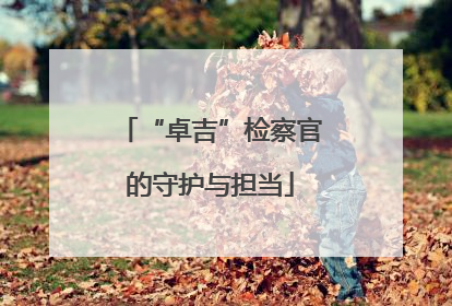 “卓吉”检察官的守护与担当