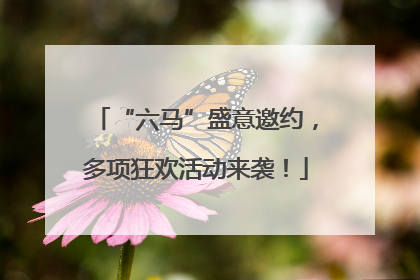 “六马”盛意邀约，多项狂欢活动来袭！
