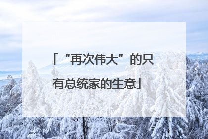 “再次伟大”的只有总统家的生意