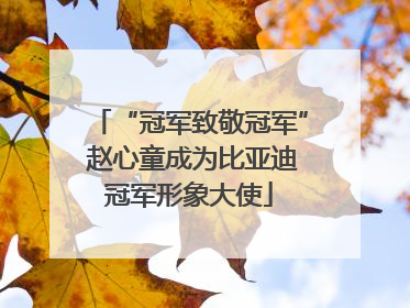 “冠军致敬冠军” 赵心童成为比亚迪冠军形象大使