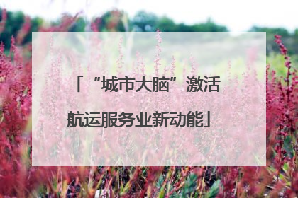 “城市大脑”激活航运服务业新动能