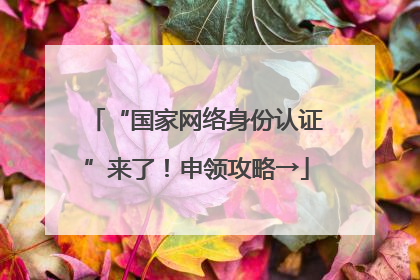 “国家网络身份认证”来了！申领攻略→