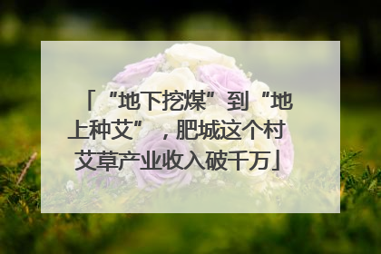 “地下挖煤”到“地上种艾”，肥城这个村艾草产业收入破千万