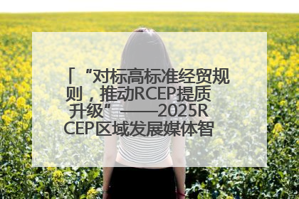 “对标高标准经贸规则，推动RCEP提质升级”——2025RCEP区域发展媒体智库论坛举行专题对话
