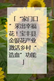 “家门口”采出幸福花！宝丰县金银花产业激活乡村“造血”功能