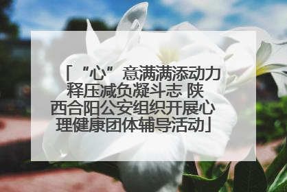 “心”意满满添动力 释压减负凝斗志 陕西合阳公安组织开展心理健康团体辅导活动