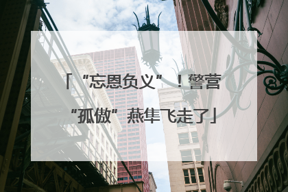 “忘恩负义”！警营“孤傲”燕隼飞走了