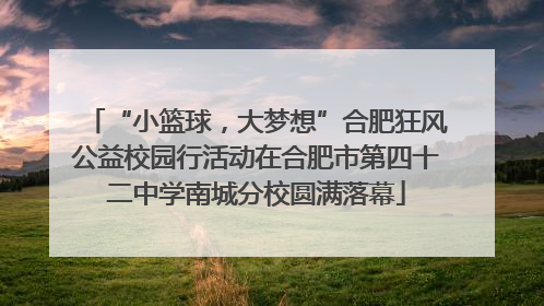 “小篮球，大梦想”合肥狂风公益校园行活动在合肥市第四十二中学南城分校圆满落幕