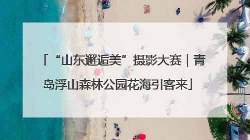“山东邂逅美”摄影大赛｜青岛浮山森林公园花海引客来
