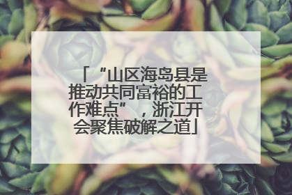 “山区海岛县是推动共同富裕的工作难点”，浙江开会聚焦破解之道