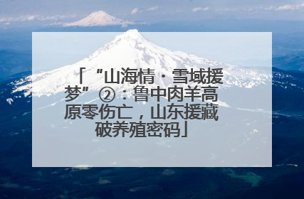 “山海情・雪域援梦”②：鲁中肉羊高原零伤亡，山东援藏破养殖密码