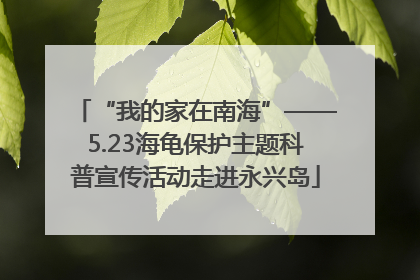 “我的家在南海”——5.23海龟保护主题科普宣传活动走进永兴岛