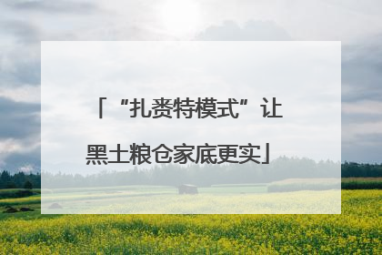 “扎赉特模式”让黑土粮仓家底更实