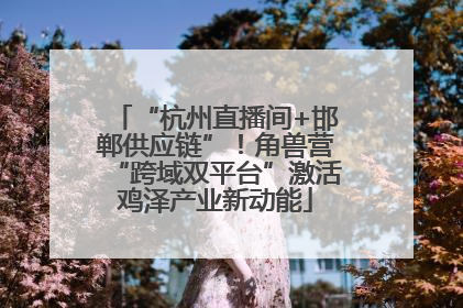 “杭州直播间+邯郸供应链”！角兽营“跨域双平台”激活鸡泽产业新动能