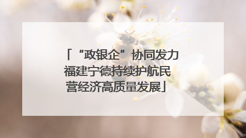 “政银企”协同发力 福建宁德持续护航民营经济高质量发展